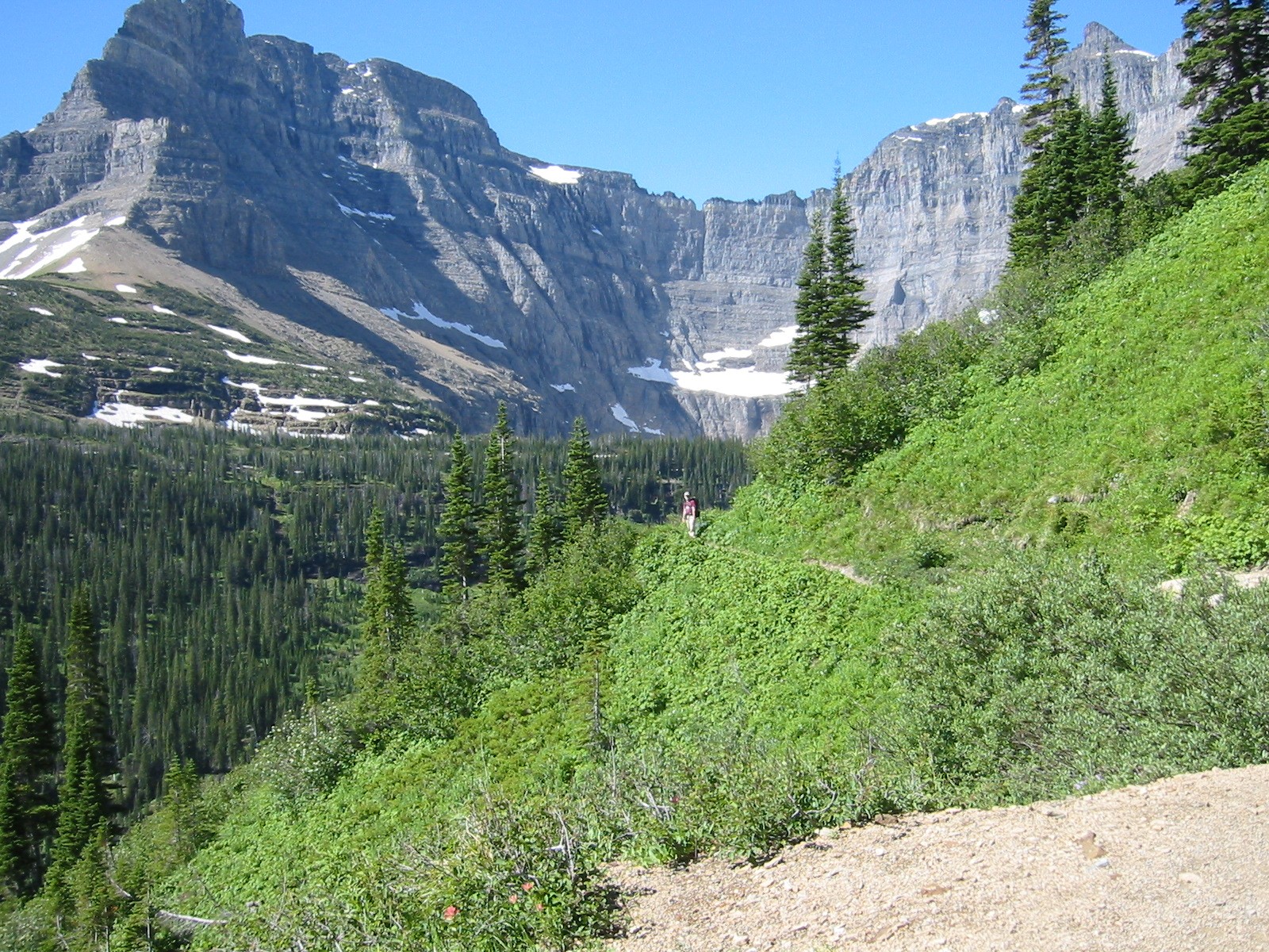 Glacier NP 2004